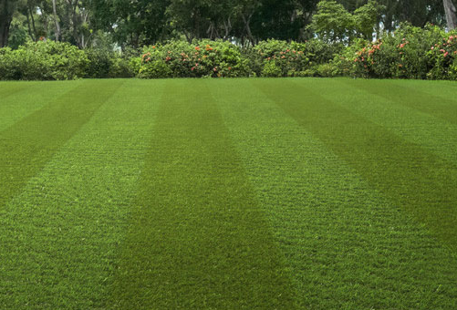 Lambourn Artificial Grass